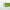 Celimax Noni Balance Skin Trio Set