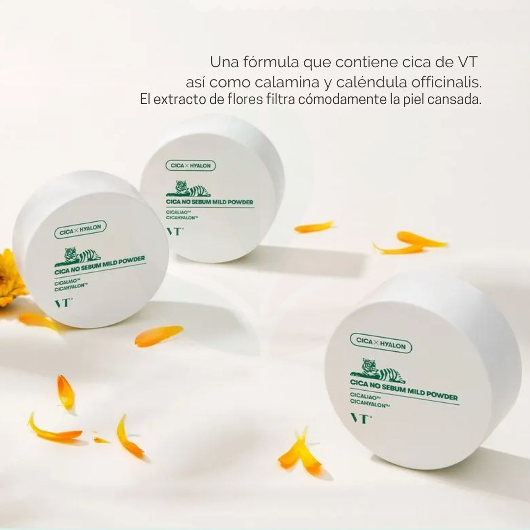 SKIN1004 + VT No-Sebum Serenity Set