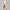 Medicube Deep Lifting Peptide Eye Cream 30ml