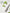 Mixsoon Centella Sun Cream 50g