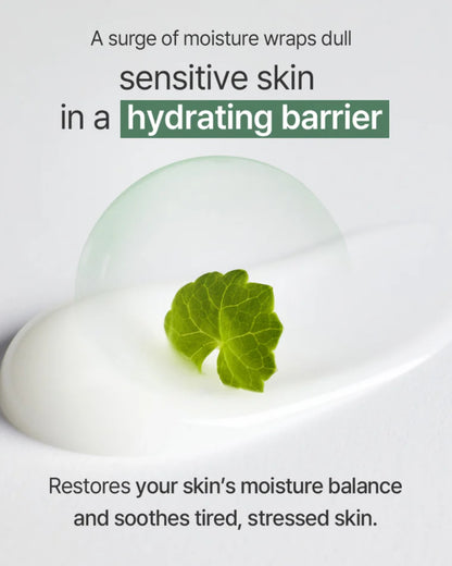Mixsoon Cica Hyal Deep Soothing Cream 50ml
