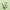 Round Lab Mugwort Calming Serum 50ml