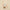 Round Lab Soybean Nourishing Serum 50ml