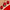 TIRTIR Mask Fit Red Cushion Light Medium (Full Size 18g)