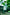 SKIN1004 + VT No-Sebum Serenity Set