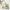 Mary & May Vegan CICA Tea Tree Toner Special Set